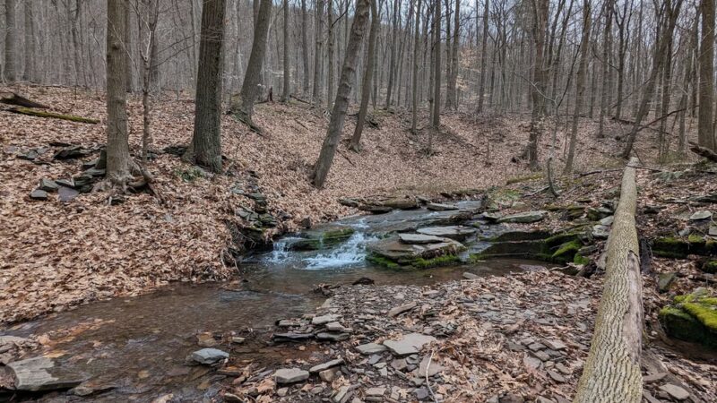 State Game Lands Number 103 - Julian, PA