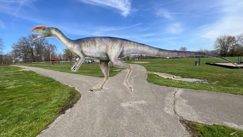 Junction City Park - Junction City, KY