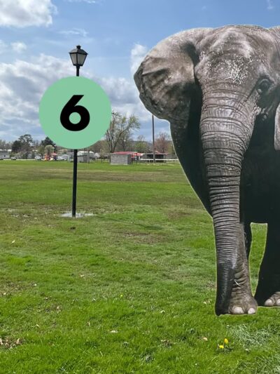 Junction City Park - Junction City, KY