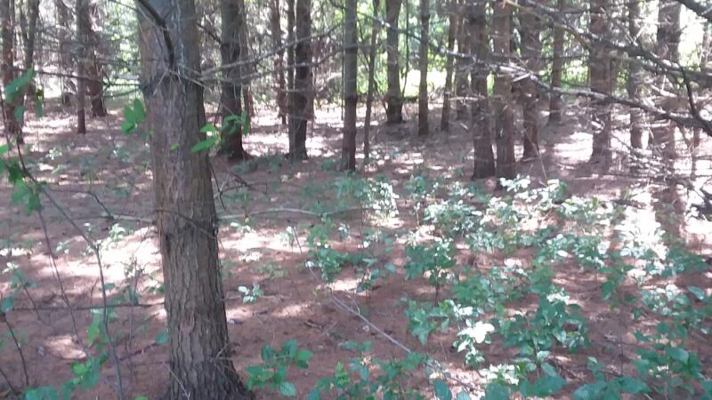 Junction City Village Park - Junction City, WI