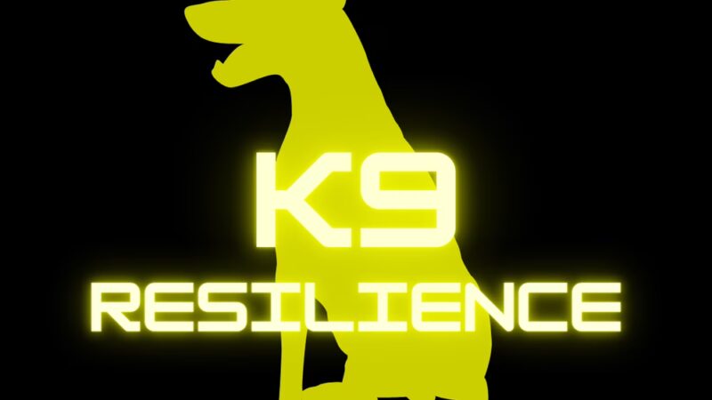 K9 Resilience Dog Training - ,