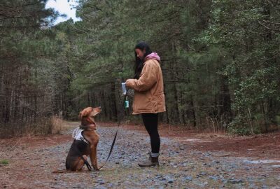 Kailey Walks Dogs - ,