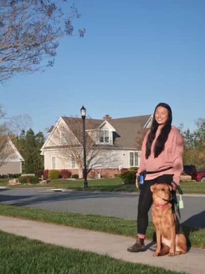 Kailey Walks Dogs - ,