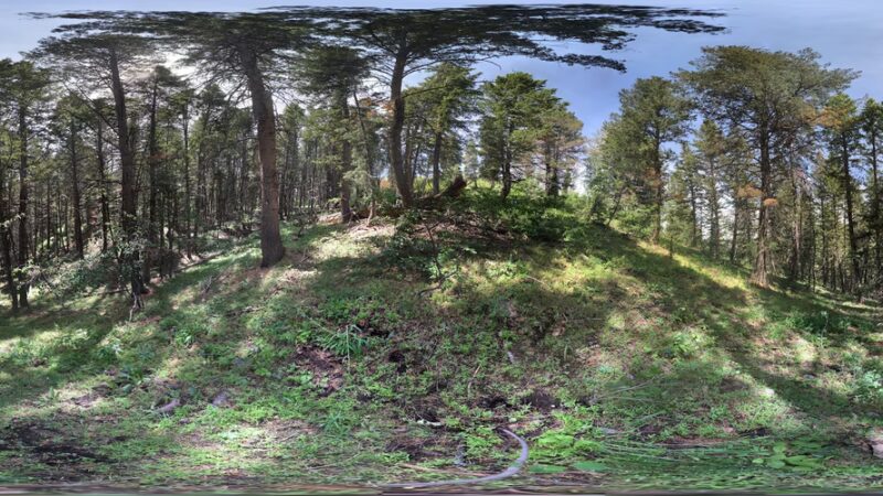 Oakley Trail Park - Kamas, UT