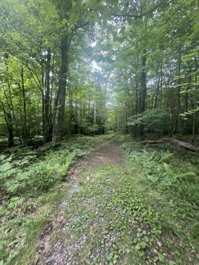 General Kane Trailhead - Kane, PA