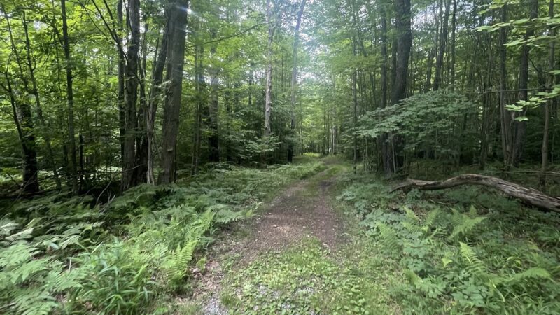 General Kane Trailhead - Kane, PA