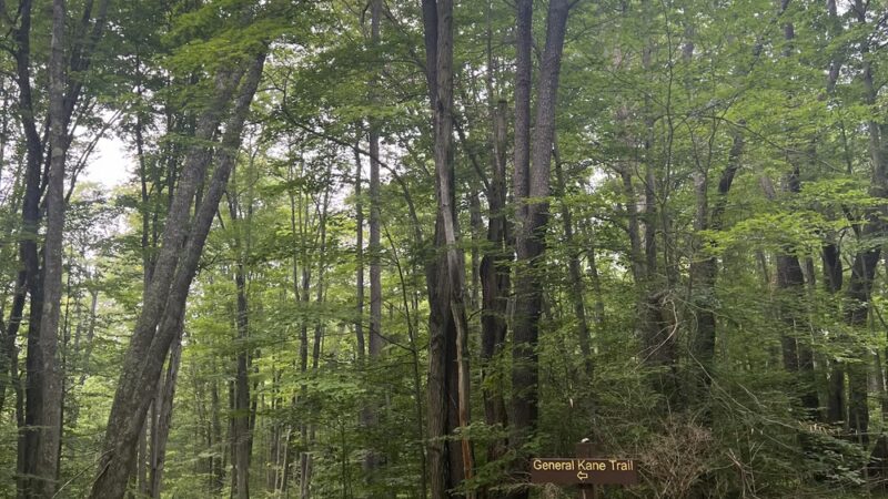General Kane Trailhead - Kane, PA