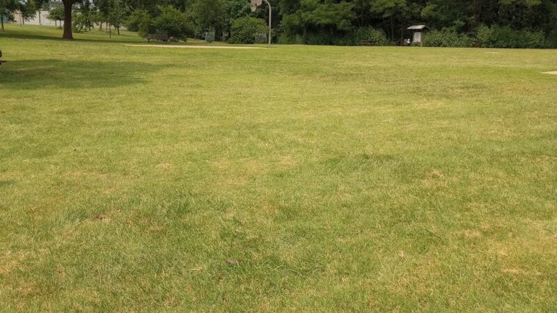 Fisher Park - Kansas City, KS