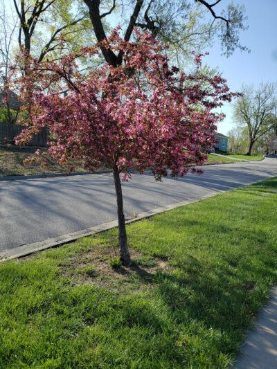 Waterway Park - Kansas City, KS