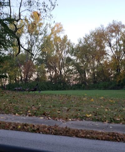 Fairfax Park - Kansas City, KS