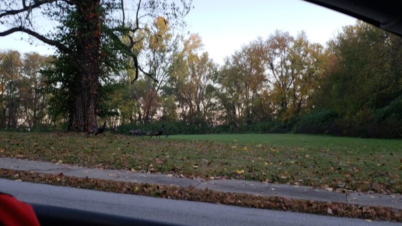 Fairfax Park - Kansas City, KS