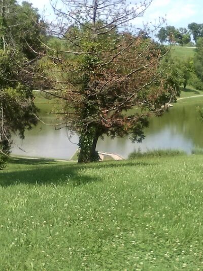 Blue Valley Park - Kansas City, MO