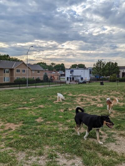 Dog Park - Kansas City, MO