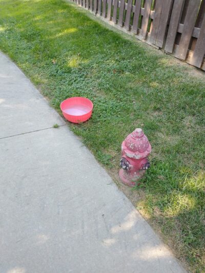 Doggy Pit Stop - Kansas City, MO