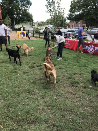 Gillham Dog Park - Kansas City, MO