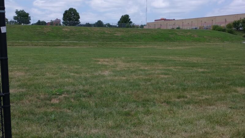 Gillham Dog Park - Kansas City, MO