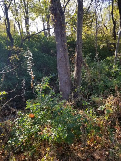 Highland View Park - Kansas City, MO
