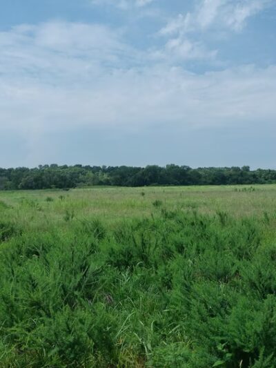 Little Blue Valley Park - Kansas City, MO