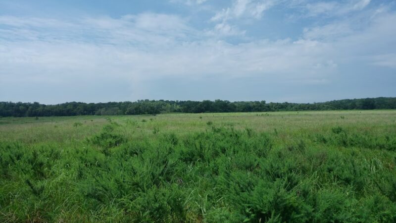 Little Blue Valley Park - Kansas City, MO