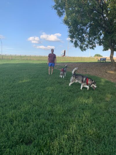 River Market Dog Park - Kansas City, MO