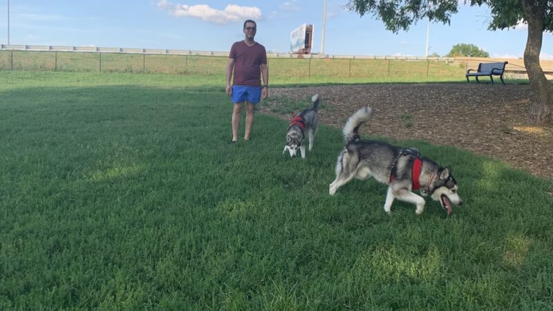 River Market Dog Park - Kansas City, MO