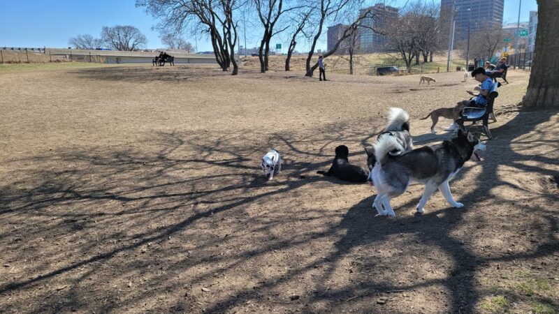 River Market Dog Park - Kansas City, MO