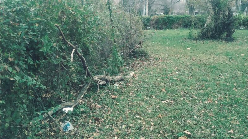Ruskin Way Park - Kansas City, MO