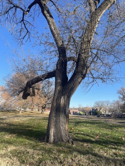 Budd Park - Kansas City, MO