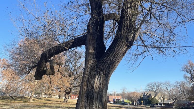 Budd Park - Kansas City, MO