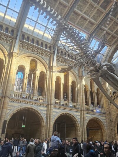 Kapolei Community Park - Kapolei, HI