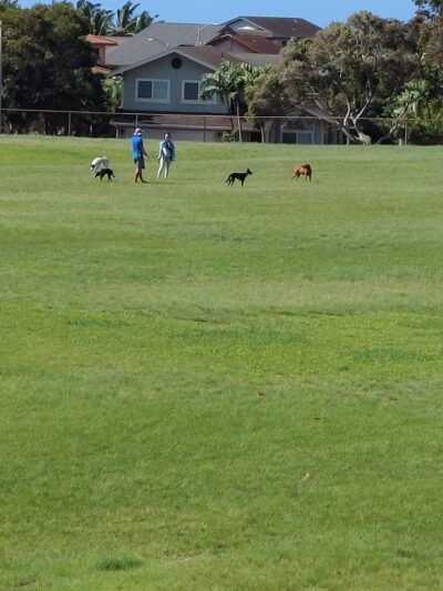 Pālailai Neighborhood Park - Kapolei, HI