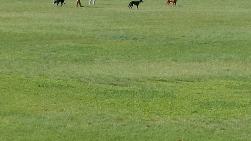 Pālailai Neighborhood Park - Kapolei, HI