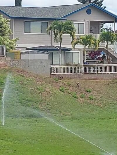 Pālailai Neighborhood Park - Kapolei, HI