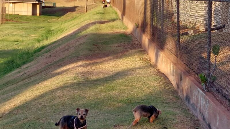 Pālailai Neighborhood Park - Kapolei, HI