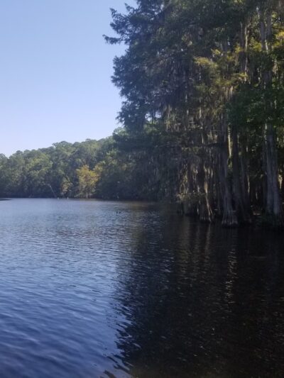 Caddo Lake State Park - Karnack, TX