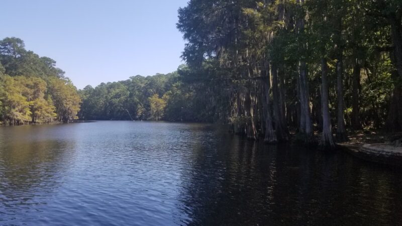 Caddo Lake State Park - Karnack, TX