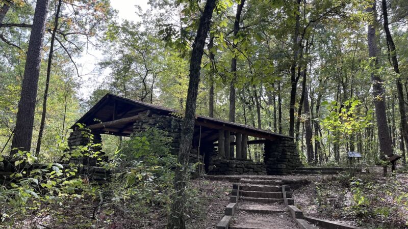 Caddo Lake State Park - Karnack, TX