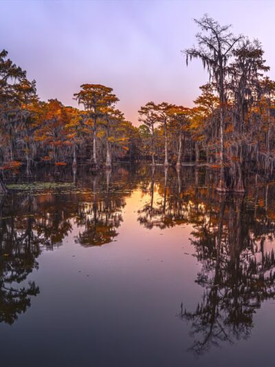 Caddo Lake State Park - Karnack, TX