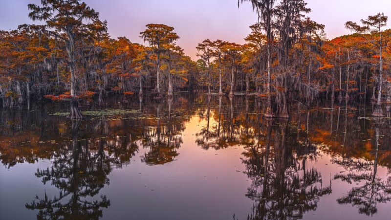 Caddo Lake State Park - Karnack, TX
