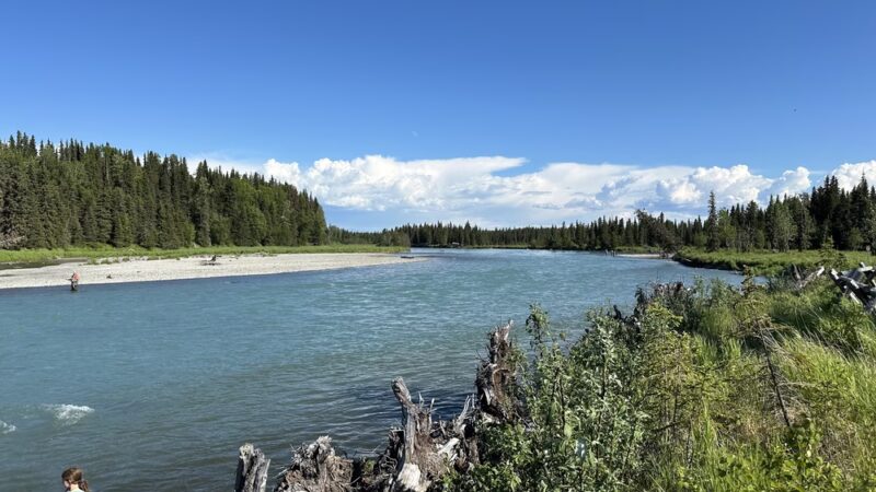 Crooked Creek State Recreation Site - Kasilof, AK