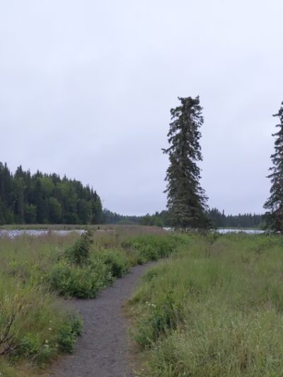 Crooked Creek State Recreation Site - Kasilof, AK