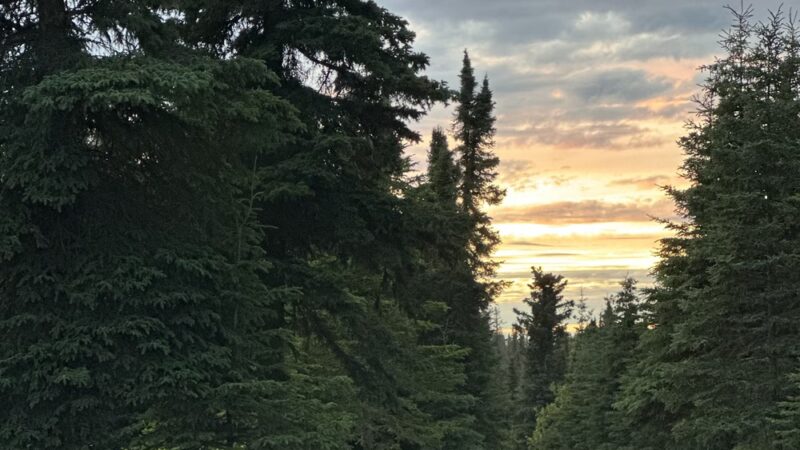 Crooked Creek State Recreation Site - Kasilof, AK