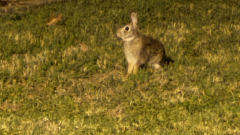 Cinco Ranch II Park at Park Place - Katy, TX