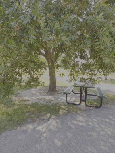 Mason Road Park - Katy, TX