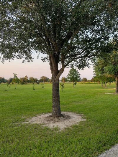 Mason Road Park - Katy, TX