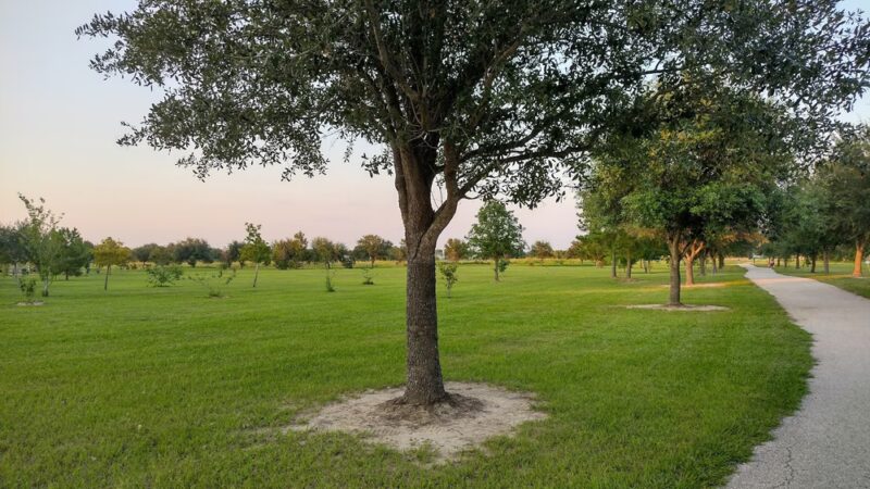 Mason Road Park - Katy, TX