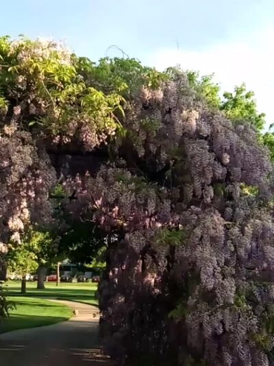 Barnes Park - Kaysville, UT