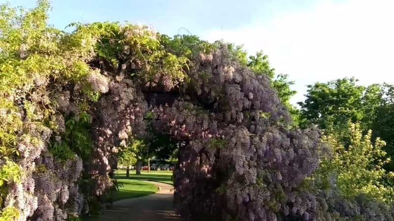 Barnes Park - Kaysville, UT