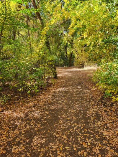 Gailey Trail trailhead - Kaysville, UT