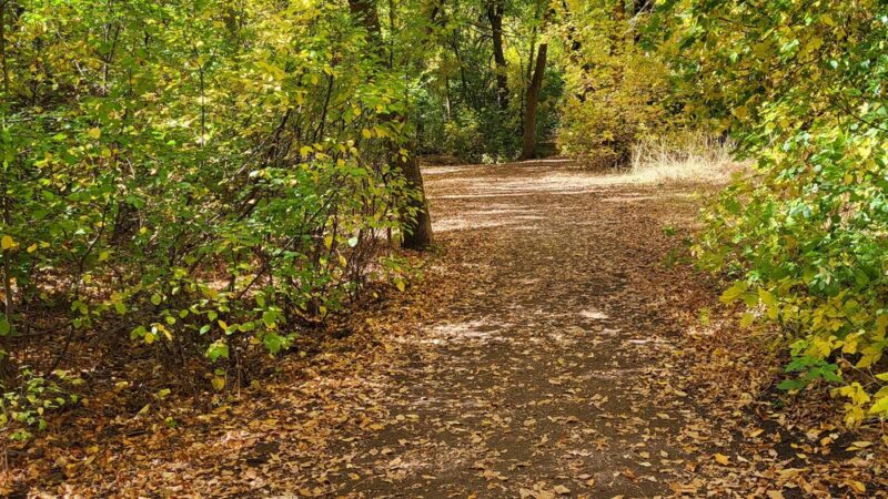 Gailey Trail trailhead - Kaysville, UT